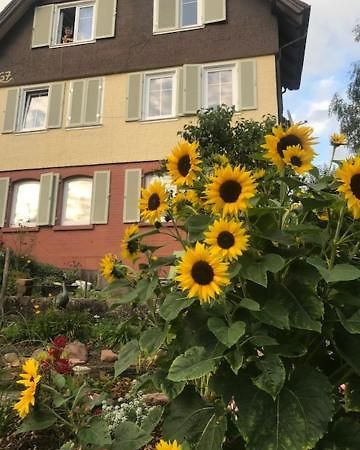 Sonnige Ferienwohnung Schramberg Eksteriør bilde